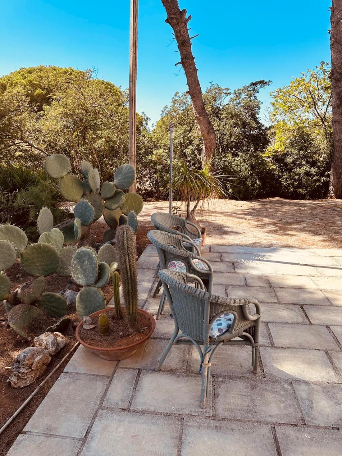 Casa Vacanze Capurre "Trulli E Pajare A Due Passi Dal Pizzo" Gallipoli Dış mekan fotoğraf